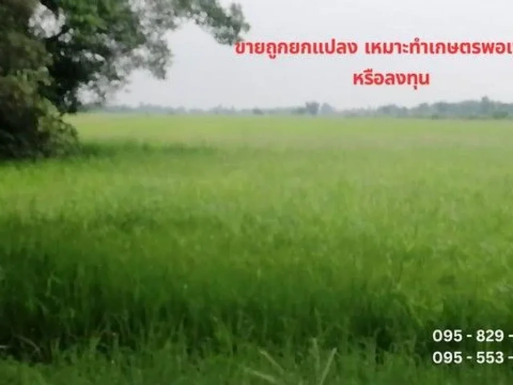 ขายที่ดิน 19-3-80 ไร่ หน้ากว้าง 1284 เมตร ติดถนนเลียบคลองสี่