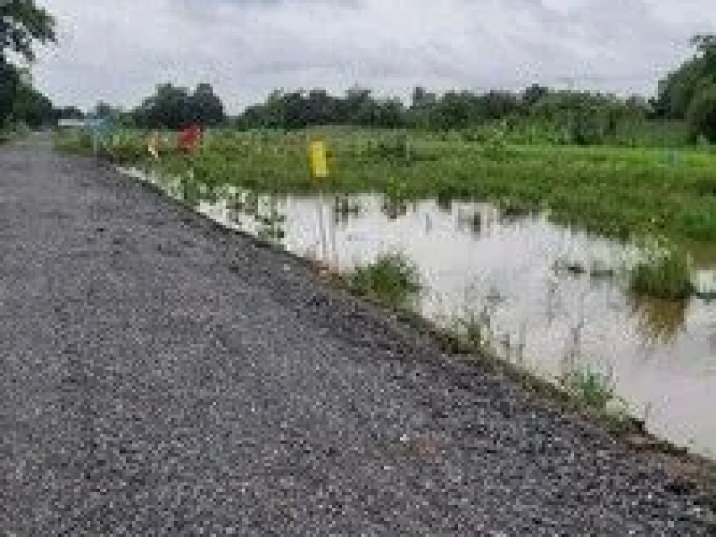 ขายที่ดินคลอง11 ติดถนน ขนาด 150 ตรว ขยายน้ำไฟให้ฟรีแบบมีเงื