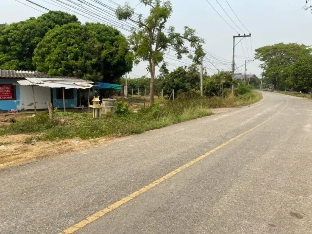 ขายที่ดินติดถนนค้าขายได้บ้านพญาชมภูสารภีโฉนดพร้อมโอน