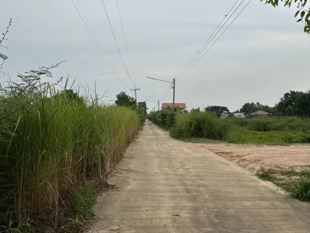 ขายที่ดินเปล่า ติดถนนลาดยาง จพิษณุโลก อเมือง ตสมอแข ขนาด