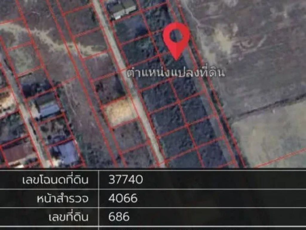 ขายที่ดินเปล่า ติดถนนลาดยาง จพิษณุโลก อเมือง ตสมอแข ขนาด