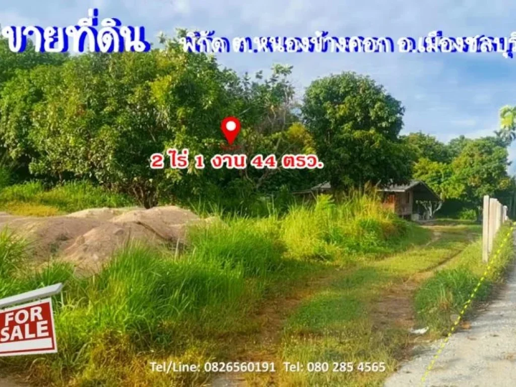 ขาย ที่ดิน แปลงสวย หนองข้างคอก ชลบุรี 2 ไร่ 1 งาน 44 ตรวา