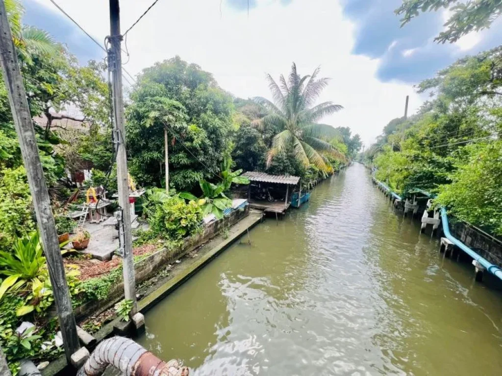 ที่ดิน ติดริมคลองน้ำใส ธรรมชาติ แต่อยู่ใจกลางเมือง ทำเลดีสุดๆ