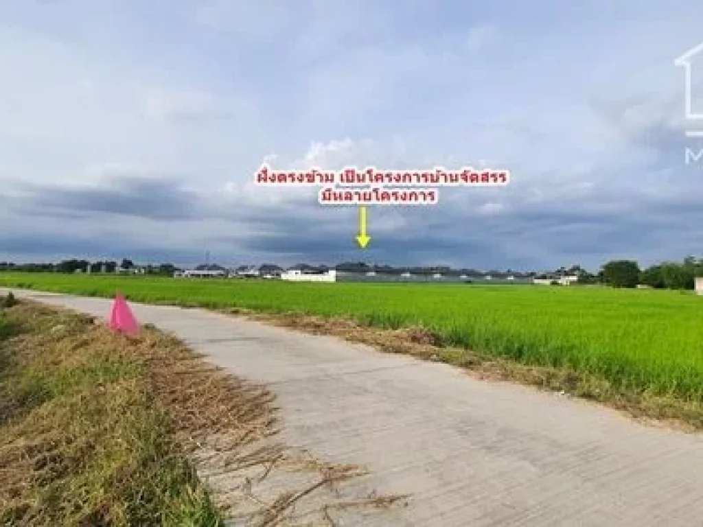 ขายที่ดินเปล่าชลบุรี หน้ากว้าง ติดถนนคอนกรีต 35 เมตร โฉนด