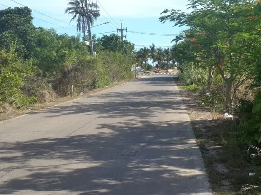 ขายที่ดิน ใกล้ลานหินขาว หาดแม่รำพึง ด้านหลังติดเขา