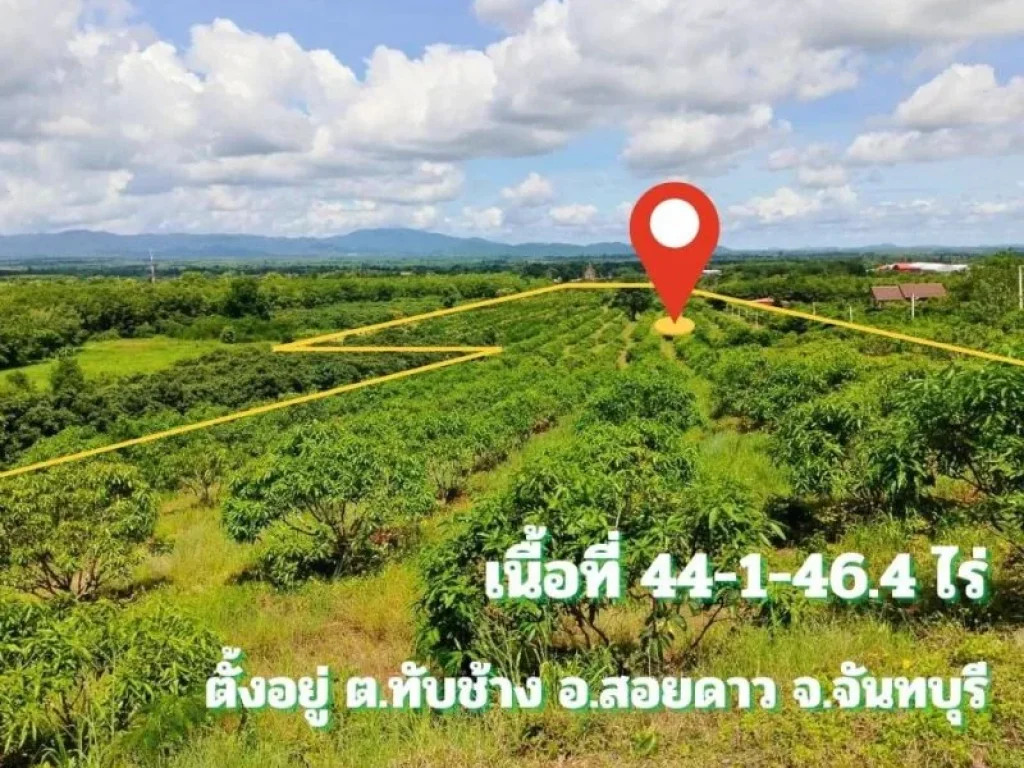 ขายที่ดินพร้อมสวนติดเชิงเขา ราคาถูก ทำเลทอง อำเภอสอยดาว