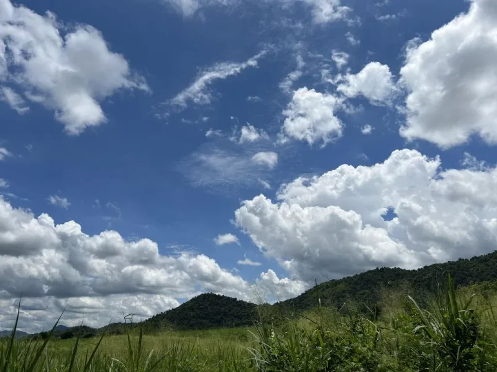 ขายที่ดินเช่าราชพัสดุ บ้านพุน้ำร้อน บ้านเก่า กาญจนบุรี