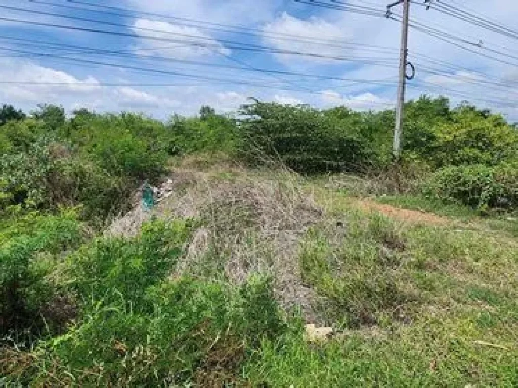 ที่ดินทำเลทอง ติดถนนใหญ่สองข้าง ที่อรัญประเทศ