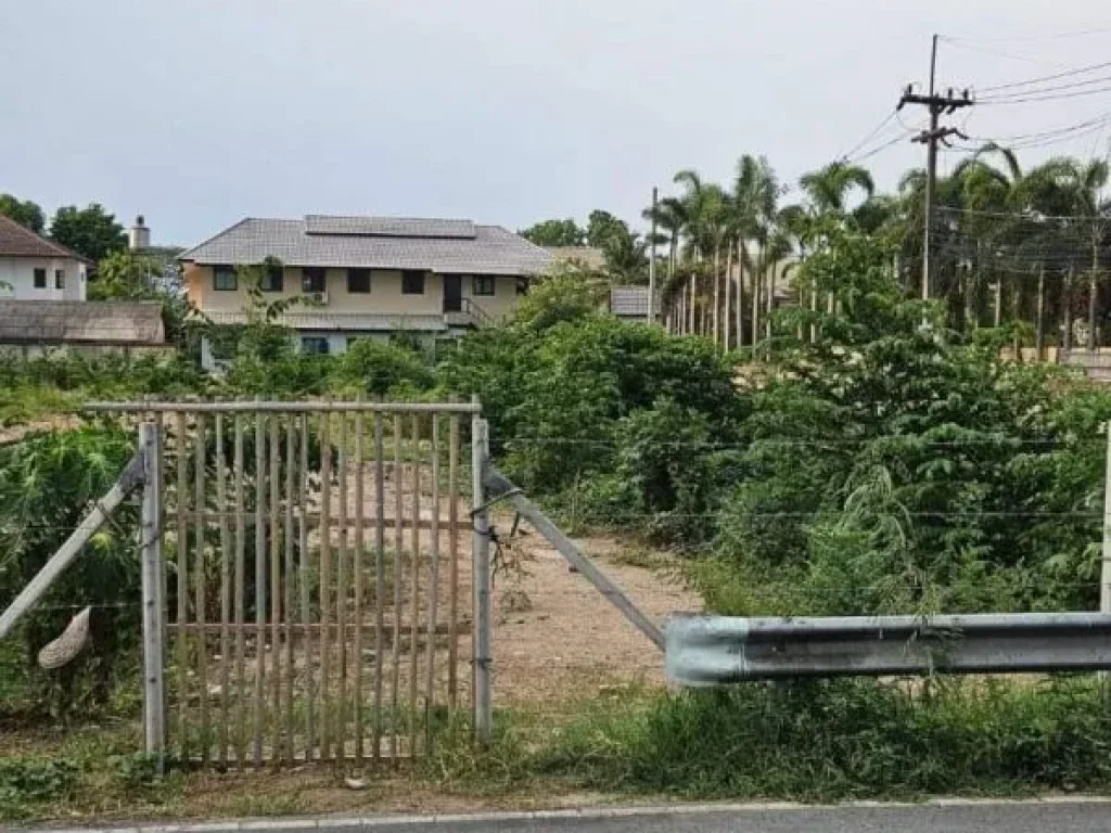 ขายที่ดินบ้านร้องเรือนคำตำบลป่าแดดติดถนนโฉนดพร้อมโอน