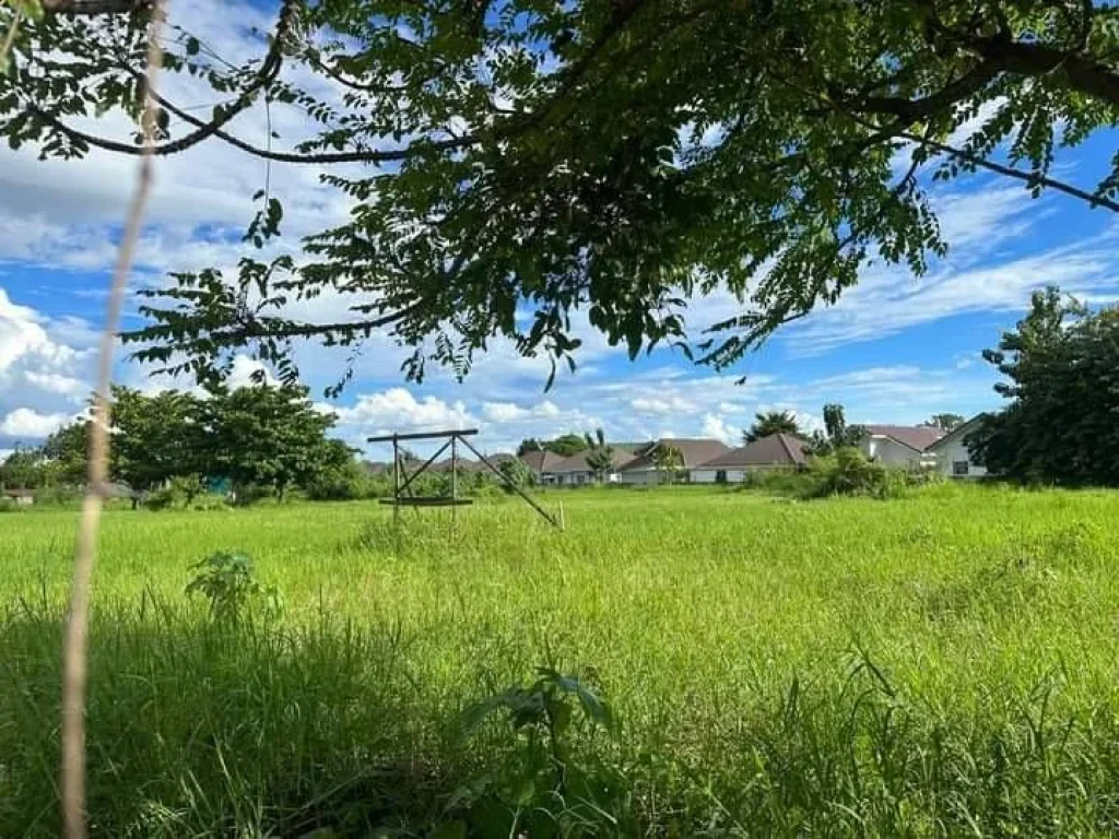 ขายสำนักงานเดี่ยว 4 ชั้น มีชั้นลอย ติดถนนบรมราชชนนี