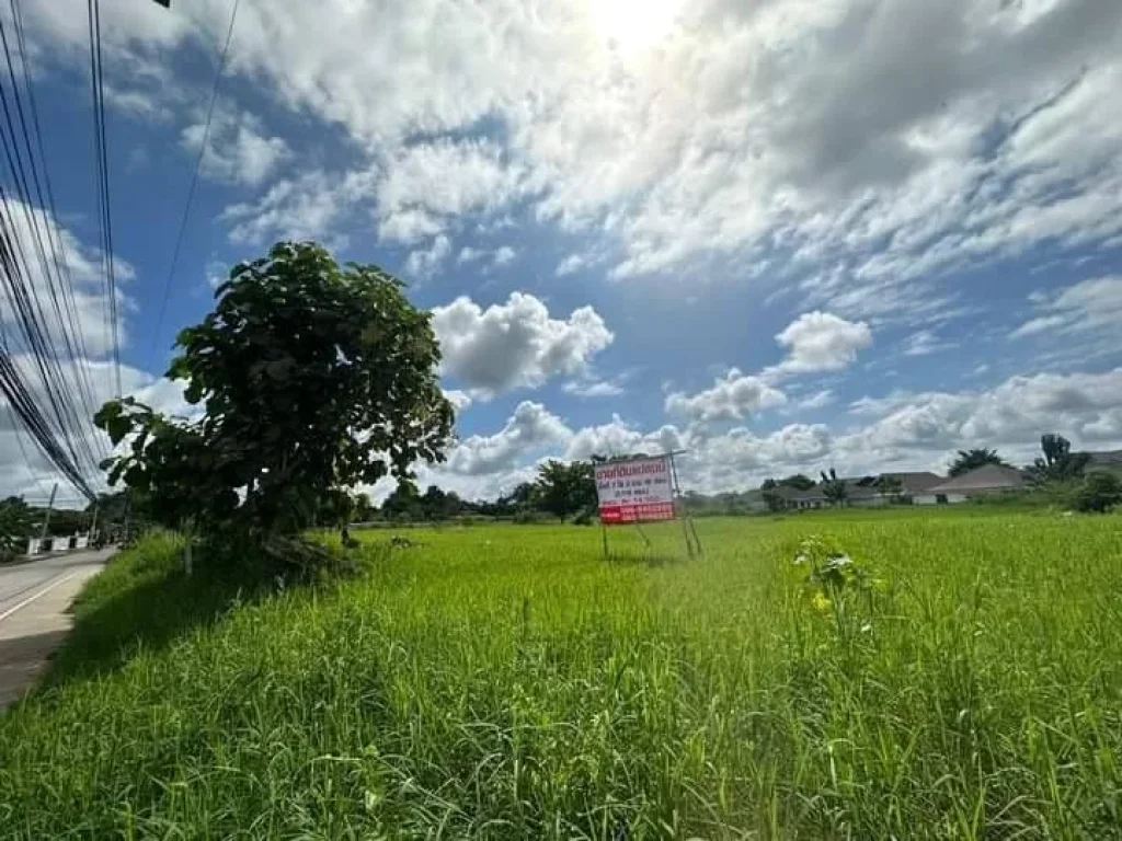 ขายสำนักงานเดี่ยว 4 ชั้น มีชั้นลอย ติดถนนบรมราชชนนี