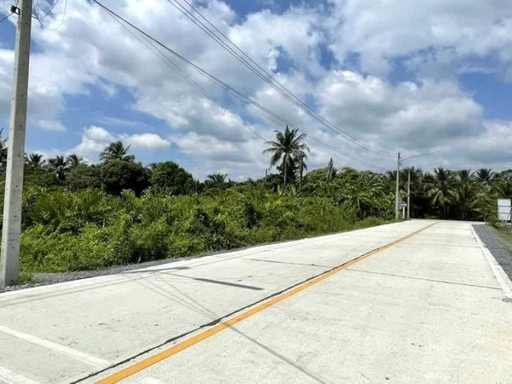 ขายที่ดิน ใกล้วัดดงเกตุ ซอยบ้านหงษ์ ถนนเพชรเกษม อำเภอสามพราน