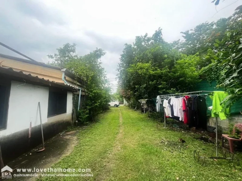 ขายที่ดินพร้อมโกดัง บางหลวง ปทุมธานี พื้นที่ 200 ตรว