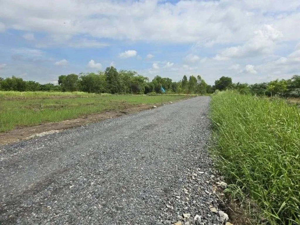 ขายที่ดินคลอสิบเอ็ด หนองเสือ ติดกับถนน ถมแล้ว ขนาด 200 ตรว