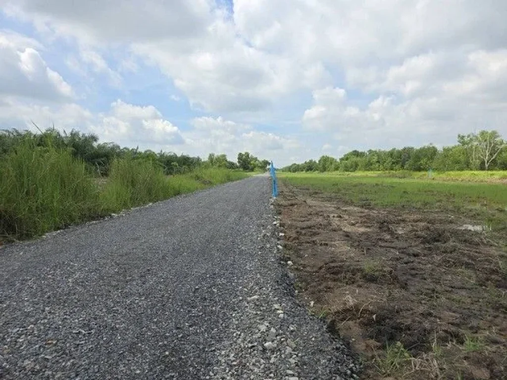 ขายที่ดินคลองสิบเอ็ด หนองเสือ ใกล้วัดป่า ที่ถมแล้ว