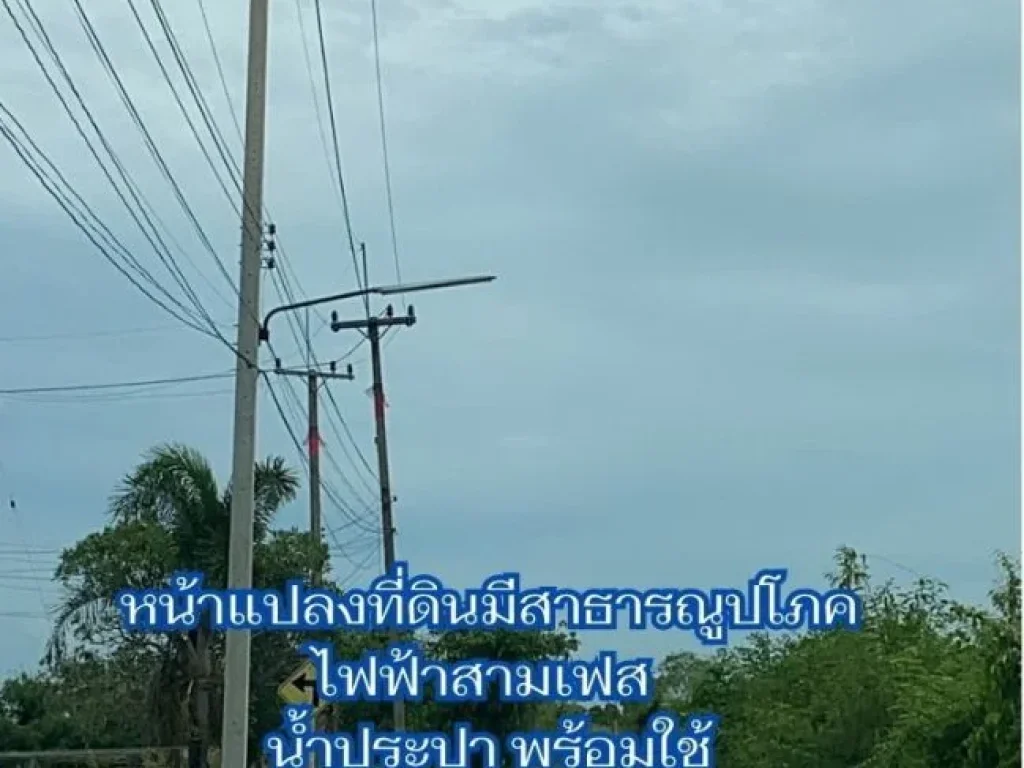 ขายที่ติดคลอง 28 ไร่ ตบ้านโพธิ์ อบ้านโพธิ์ จฉะเชิงเทรา