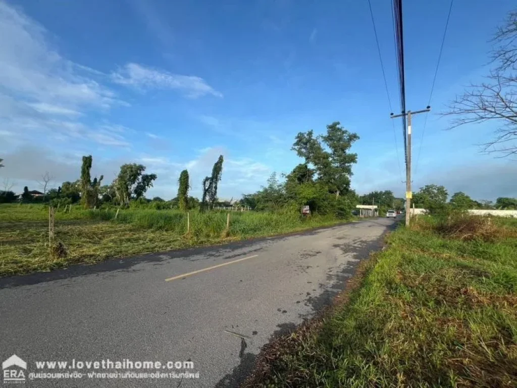 ขายที่ดิน ลำลูกกา คลอง11 ซอยวัดป่าเจริญราช พื้นที่ 2 ไร่