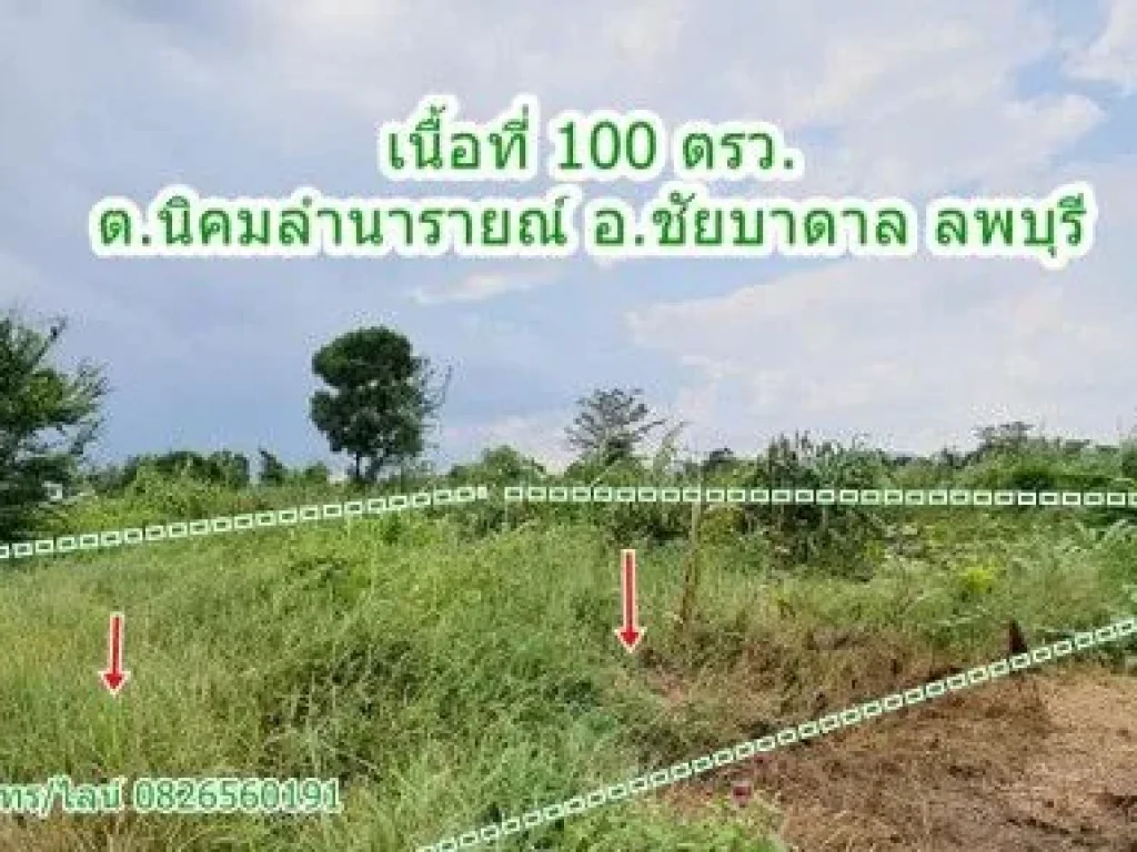 ขาย ที่ดิน จัดสรร ชัยบาดาล ลพบุรี 100 ตรวา ที่ดินแปลงสวย