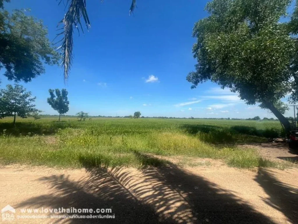 ขายที่ดิน หนองเสือ คลอง6 ฝั่งตะวันออก พื้นที่ 6 ไร่