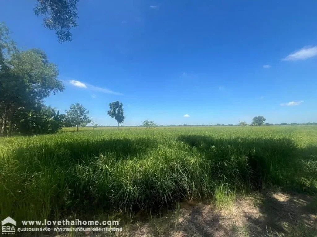 ขายที่ดิน หนองเสือ คลอง6 ฝั่งตะวันออก พื้นที่ 6 ไร่