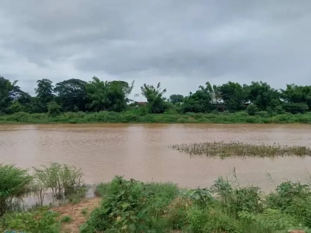 ขายที่ดินติดแม่น้ำปิงบ้านสบเตี๊ยะจอมทองติดถนนติดน้ำโฉนด