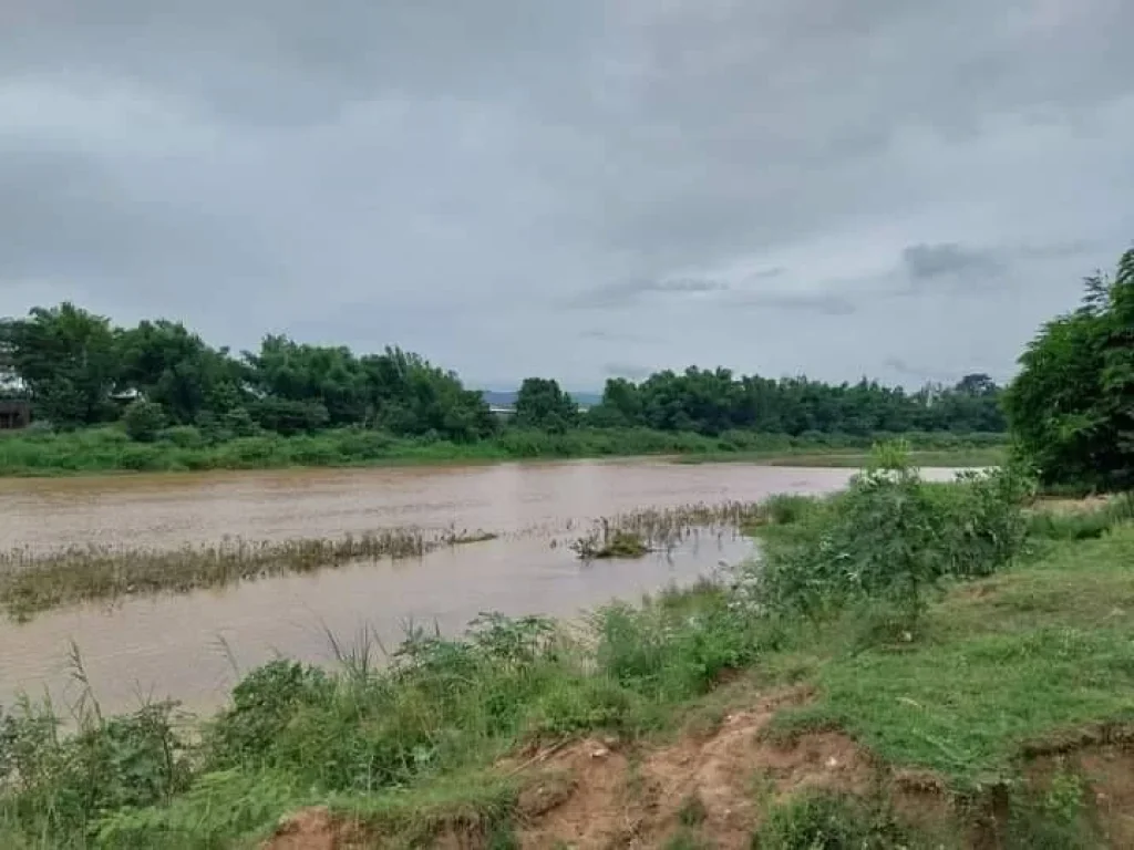 ขายที่ดินติดแม่น้ำปิงบ้านสบเตี๊ยะจอมทองติดถนนติดน้ำโฉนด