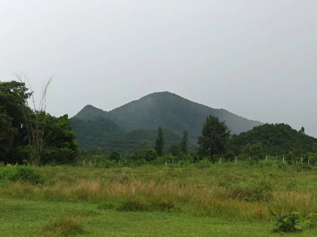 ขายที่ดิน ตทุ่งหลวง เริ่ม 100ตรวสด ผ่อนได้ ปากท่อ ราชบุรี