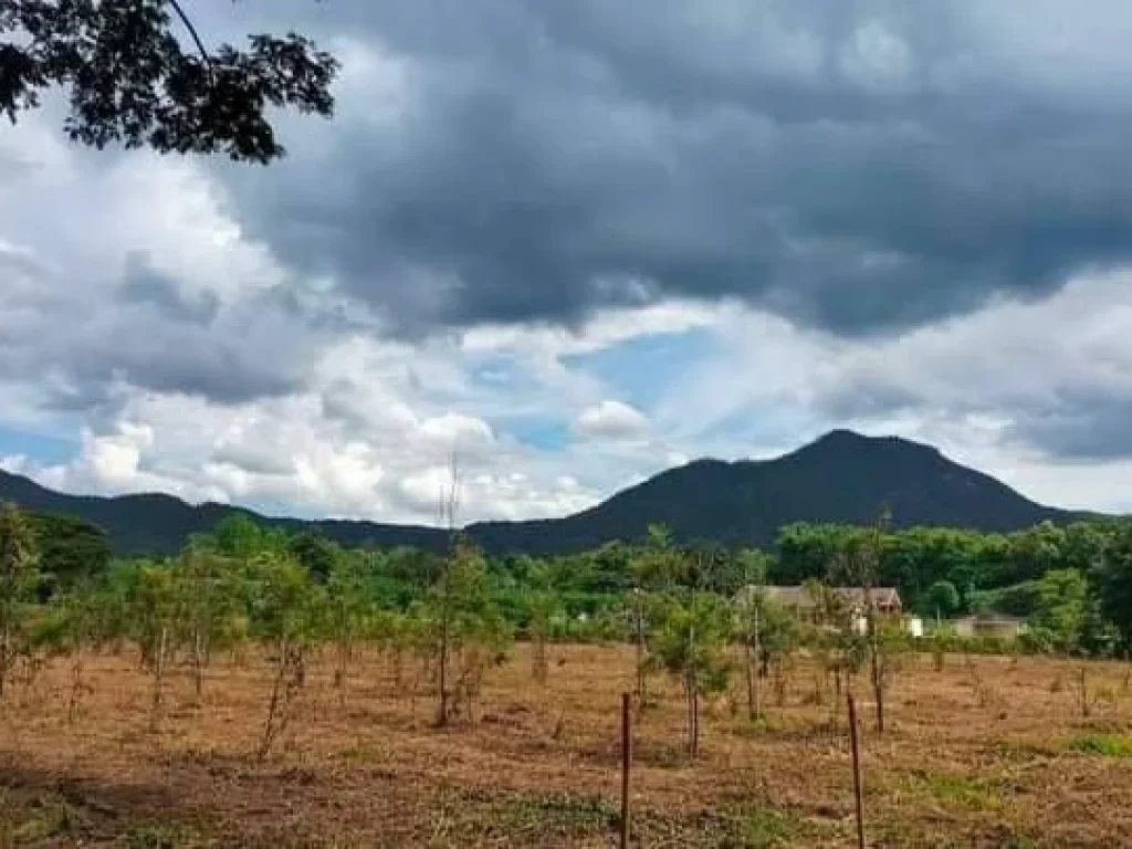 ขายที่ดินติดลำน้ำสองด้านติดถนนสองด้านแม่ออนวิวดอยโฉนด