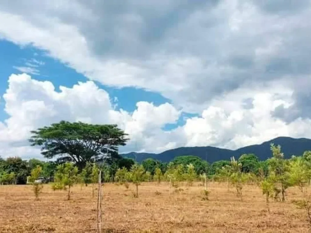 ขายที่ดินติดลำน้ำสองด้านติดถนนสองด้านแม่ออนวิวดอยโฉนด