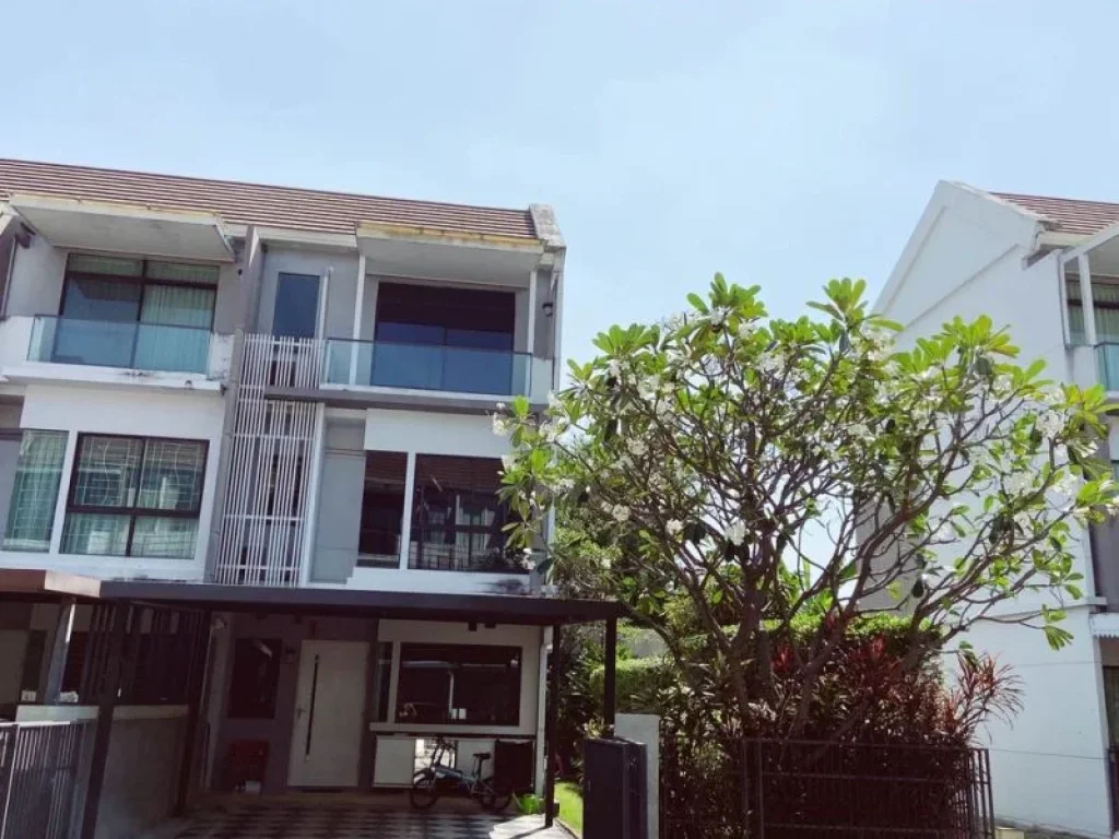 The Terrace รามอินทรา 65 เช่า ขาย townhome หัวมุม