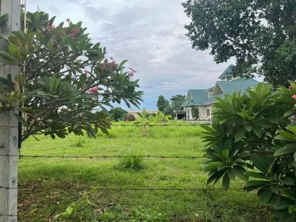 ขายที่ดินพัทยา ถนนห้วยใหญ่ ใกล้สุขุมวิท ใกล้ทะเล