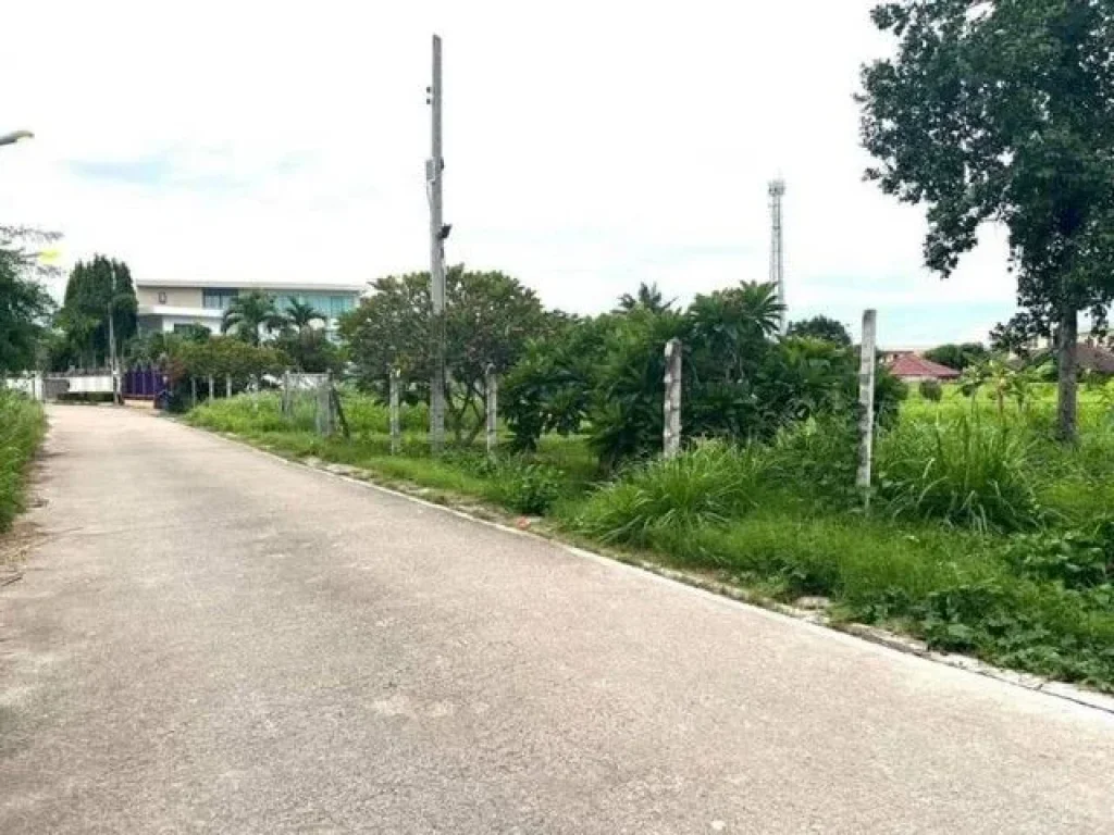 ขายที่ดินพัทยา ถนนห้วยใหญ่ ใกล้สุขุมวิท ใกล้ทะเล