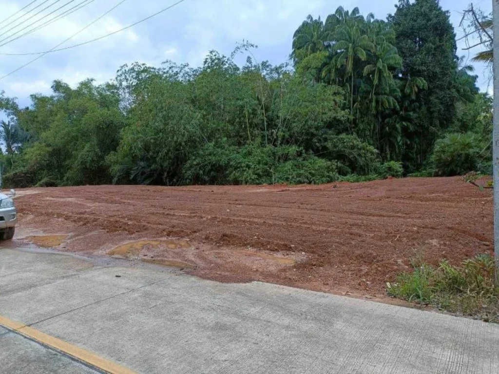 ที่ดินพร้อมสร้างบ้าน ห่างจากแยกคลองแห หาดใหญ่เพียง 10 นาที