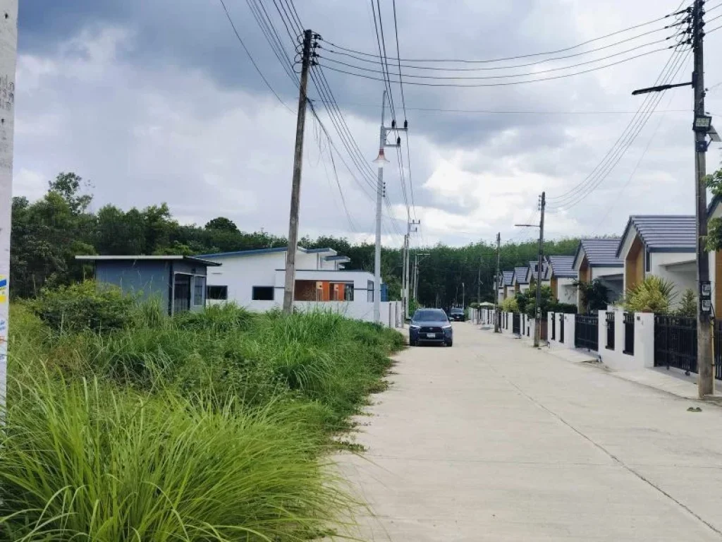 ที่ดินบ้านพรุ อหาดใหญ่ จสงขลา สาธารณูปโภคครบ