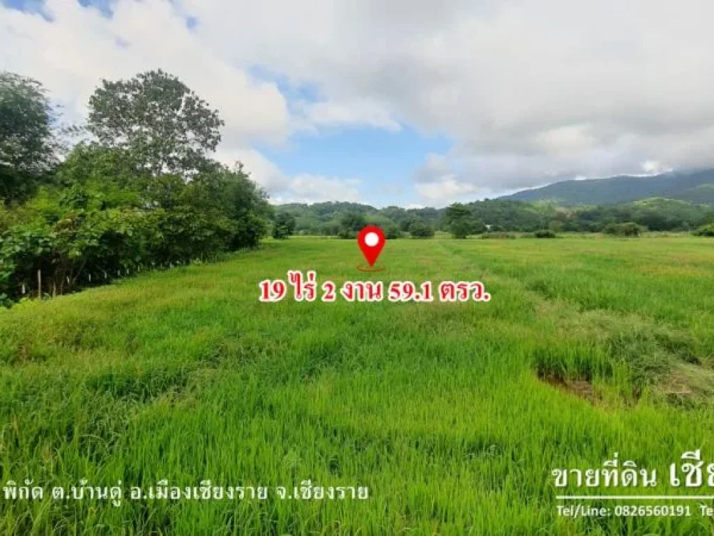 ขาย ที่ดิน เชียงราย วิวภูเขา อากาศบริสุทธิ์ 19 ไร่ 2 งาน 591