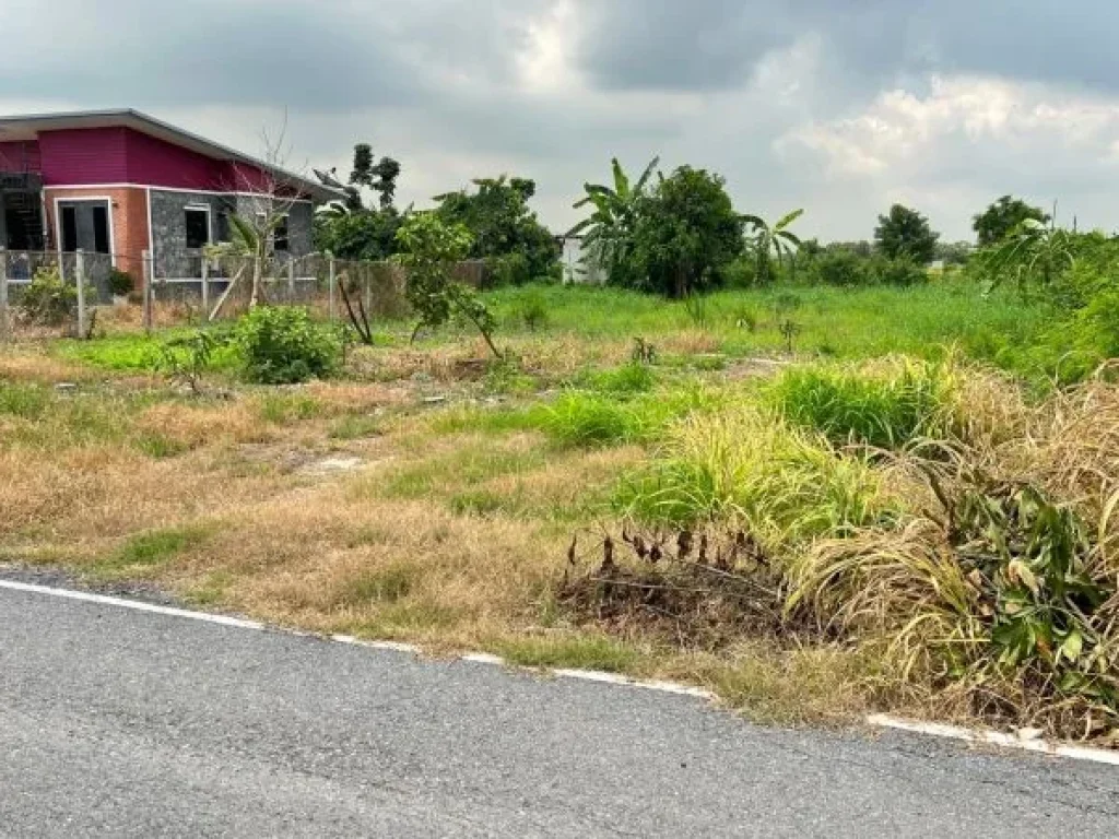 ขายที่ดิน คลอง5 ซอย24 เนื้อที่200ตรวถมแล้ว คลองหลวง ปทุมธานี