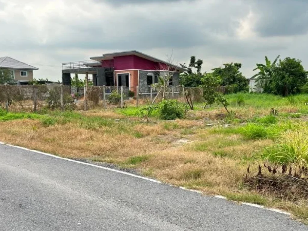 ขายที่ดิน คลอง5 ซอย24 เนื้อที่200ตรวถมแล้ว คลองหลวง ปทุมธานี