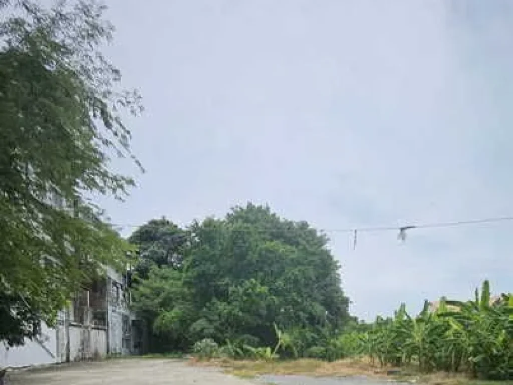 ขายที่ดินเปล่า ติดสถานีรถไฟฟ้าสายสีเหลือง บน ถนนศรีนครินทร์