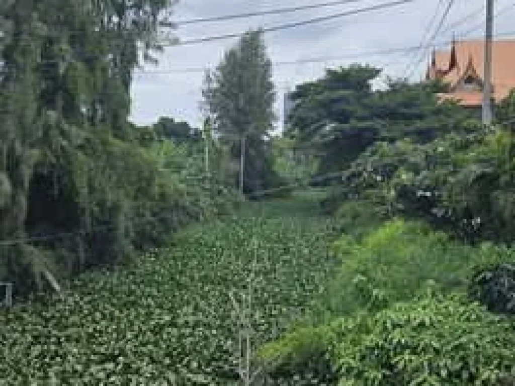 ขายที่ดินเปล่า ติดสถานีรถไฟฟ้าสายสีเหลือง บน ถนนศรีนครินทร์