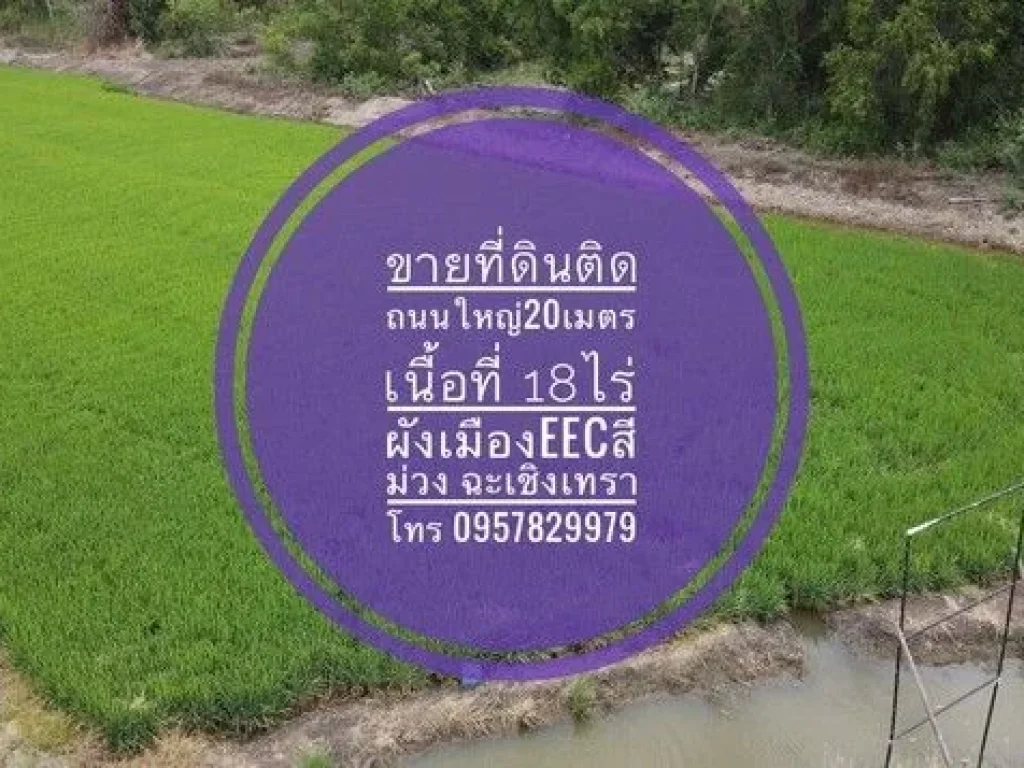 ขายที่ดิน ติดถนนใหญ่ 18 ไร่ ถตลาดสดปองพล คลองเปรง สุวินทวงศ์