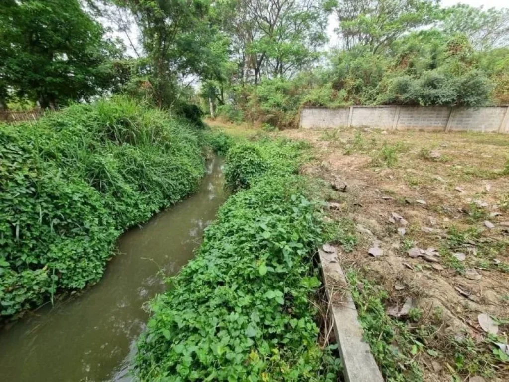 ขายที่ดินหางดง ใกล้โครงการ กุลพันธุ์ วิวล์ 9 เนื้อที่ 1-1-66