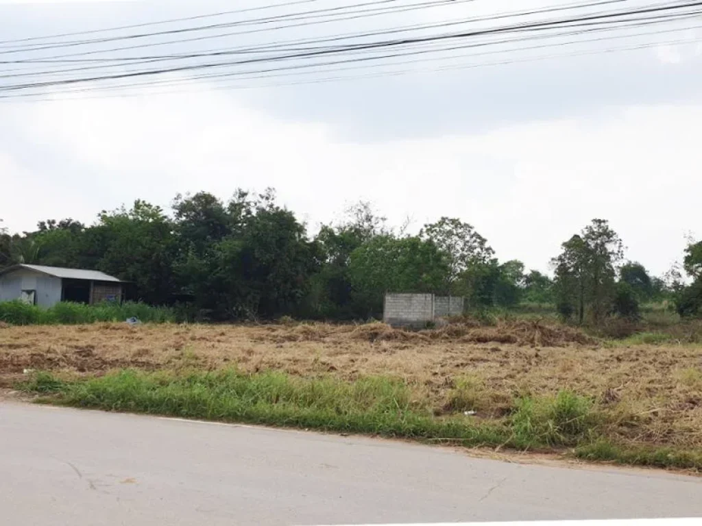 ขายที่ดินติดถนนลาดบัวขาว ตรงข้ามที่ทำการผู้ใหญ่บ้าน ลาดบัวขาว