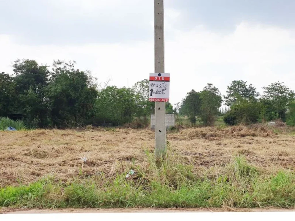 ขายที่ดินติดถนนลาดบัวขาว ตรงข้ามที่ทำการผู้ใหญ่บ้าน ลาดบัวขาว