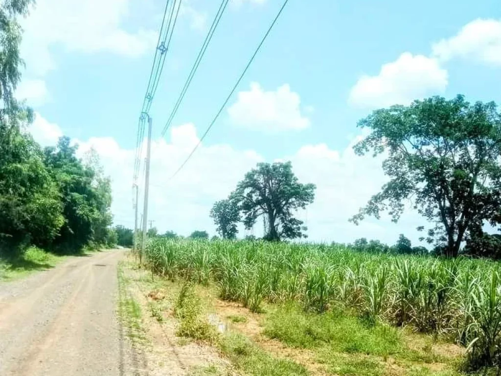 ที่ดินเปล่า สี่เหลี่ยมสวย ด้านยาวติดถนน อโนนสุวรรณ บุรีรัมย์