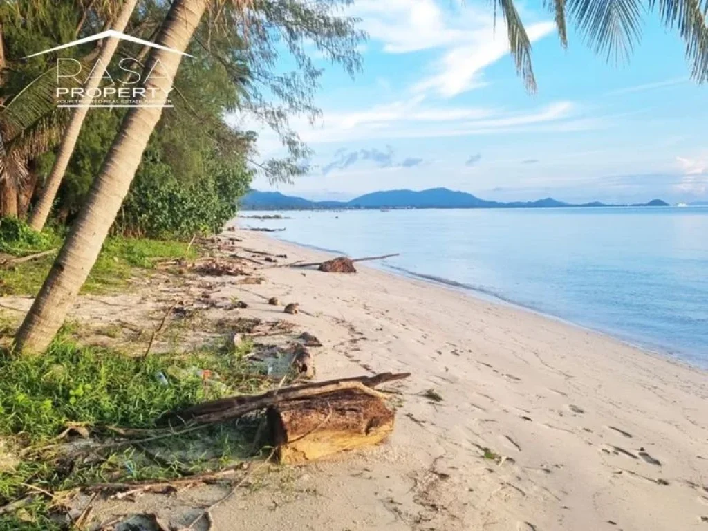 ขายที่ดินติดทะเล เกาะสมุย beachfront land for sale koh