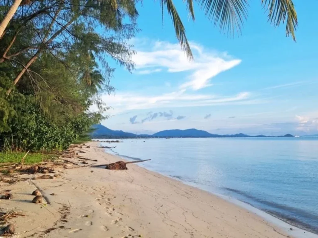 ขายที่ดินติดทะเล เกาะสมุย beachfront land for sale koh