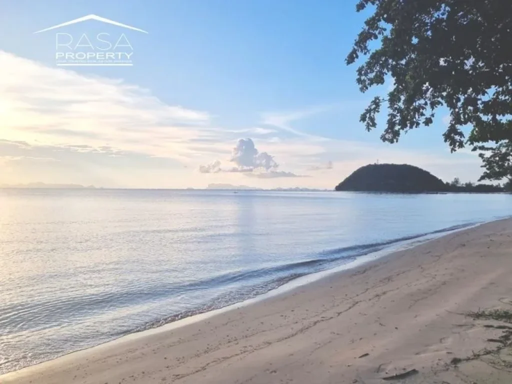 ขายที่ดินติดทะเล เกาะสมุย beachfront land for sale koh