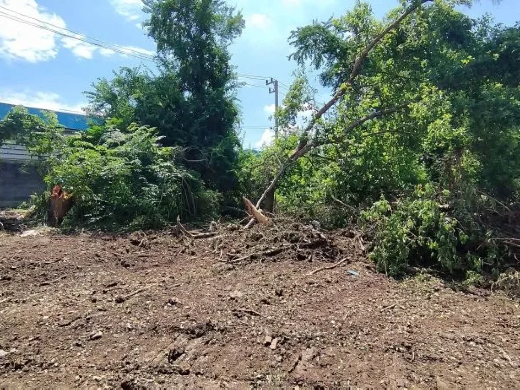 ขายที่ดิน 48 ตรว ถนิมิตรใหม่ เหมาะปลูกบ้าน ขายถูกสุดๆๆ