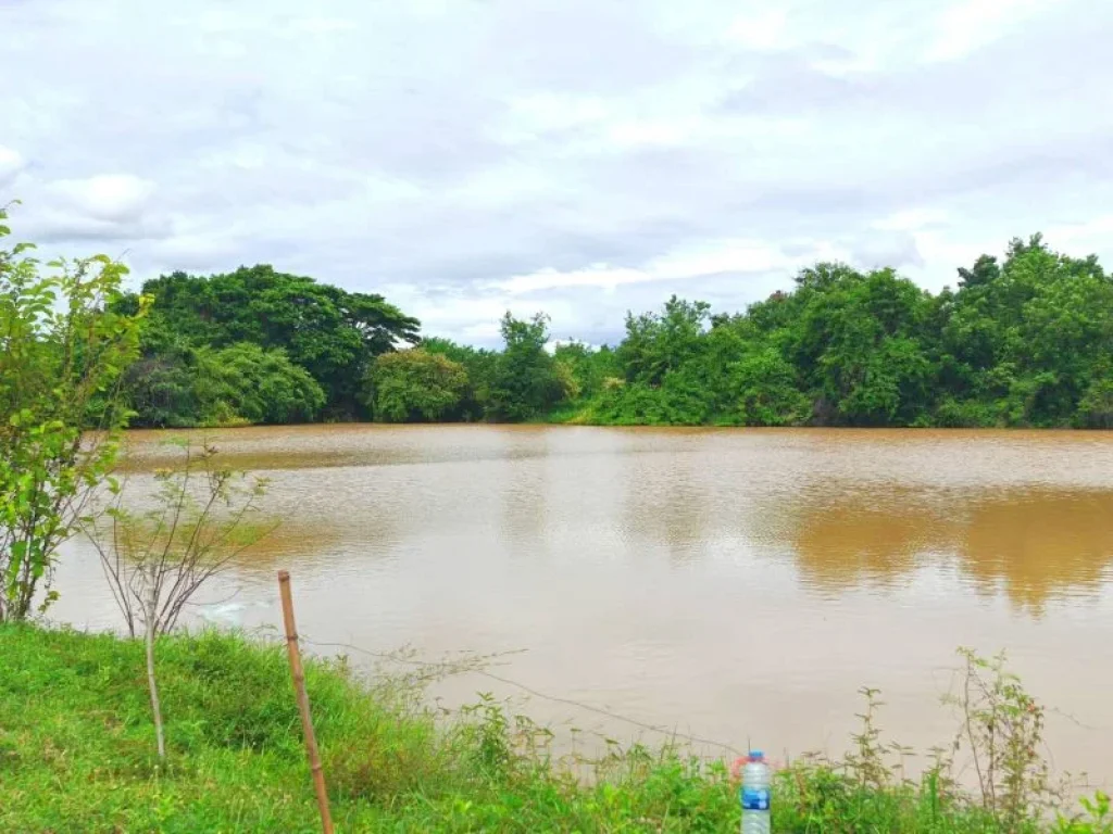 ขาย ที่ดินเปล่า แปลงสวย วิวเขา ใกล้น้ำ บรรยากาสร่มรื่น