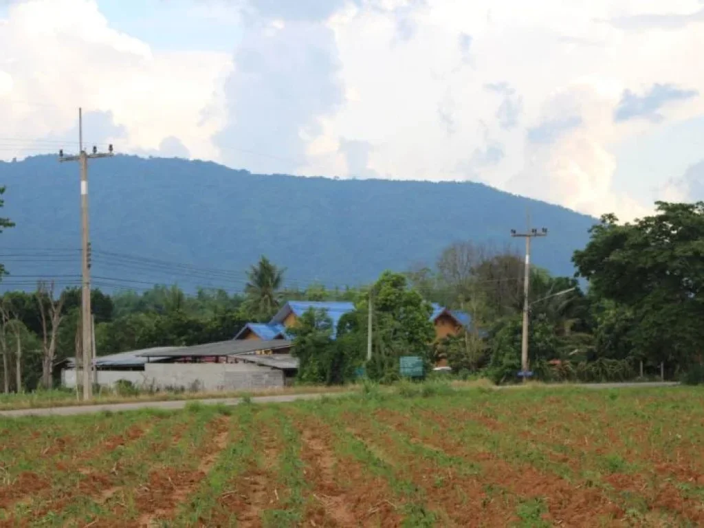 ขายที่ดินเขาใหญ่ เขาใหญ่ปากช่อง วิวภูเขามองเห็นทอสกาน่า